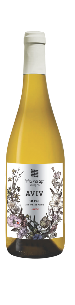 בקבוק יין לבן AVIV של יקב הרי גליל